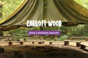Carroty Wood