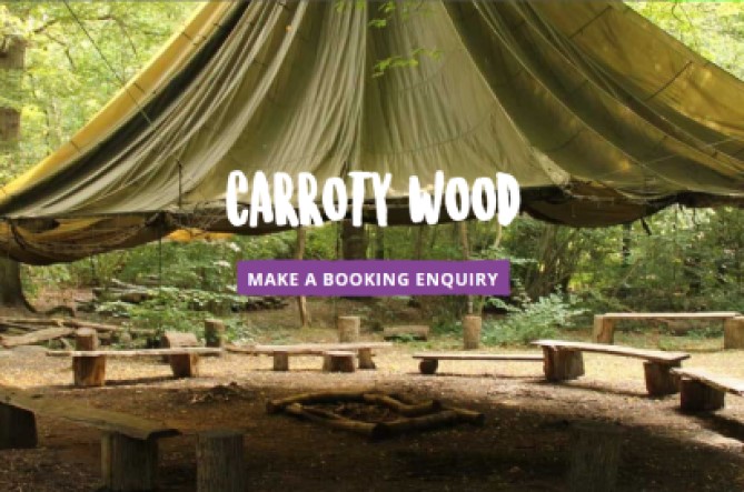 Carroty Wood