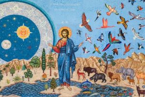 Creationtide at St Pauls