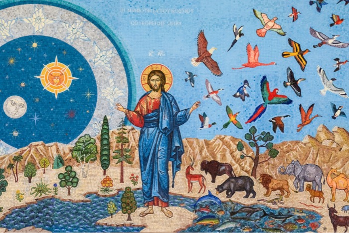 Creationtide at St Pauls